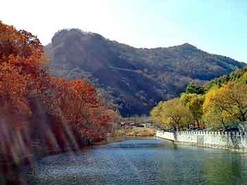 管家婆免费正版资起大全，水洗高岭土价格